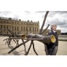 Conférence sur Giuseppe Penone