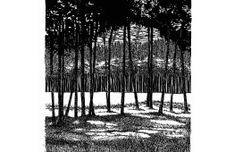 Presence of Marco De Francesco